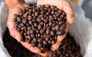 Kawy Speciality – ziarna najwyższej jakości