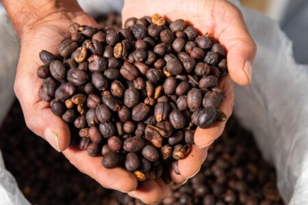 Kawy Speciality – ziarna najwyższej jakości
