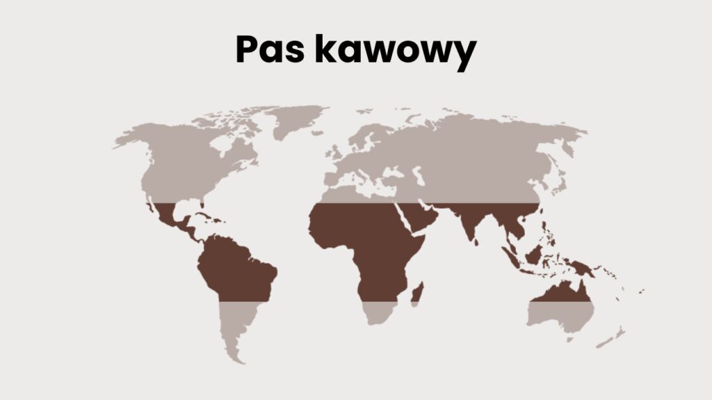 Pas kawowy