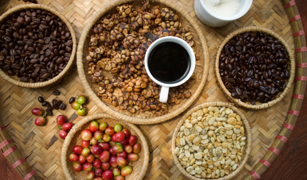 Kopi luwak, czyli czarne złoto dla koneserów