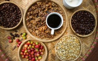 Kopi luwak, czyli czarne złoto dla koneserów