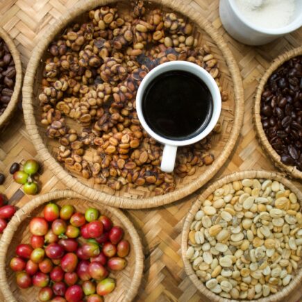Kopi luwak, czyli czarne złoto dla koneserów