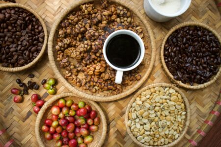 Kopi luwak, czyli czarne złoto dla koneserów