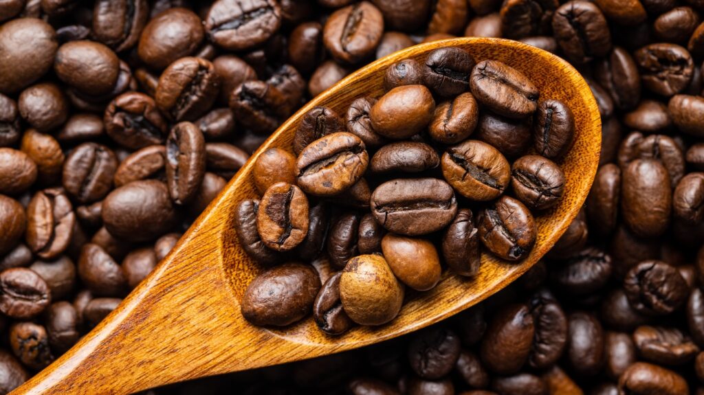 Ziarna robusty premium - trendy kawowe 2026