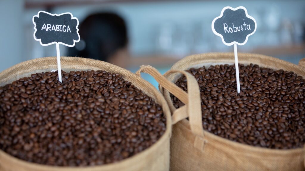 Arabica czy Robusta
